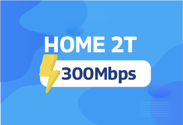 Internet VNPT Home 2T - 300Mbps Internet VNPT Home 2T - 300Mbps
